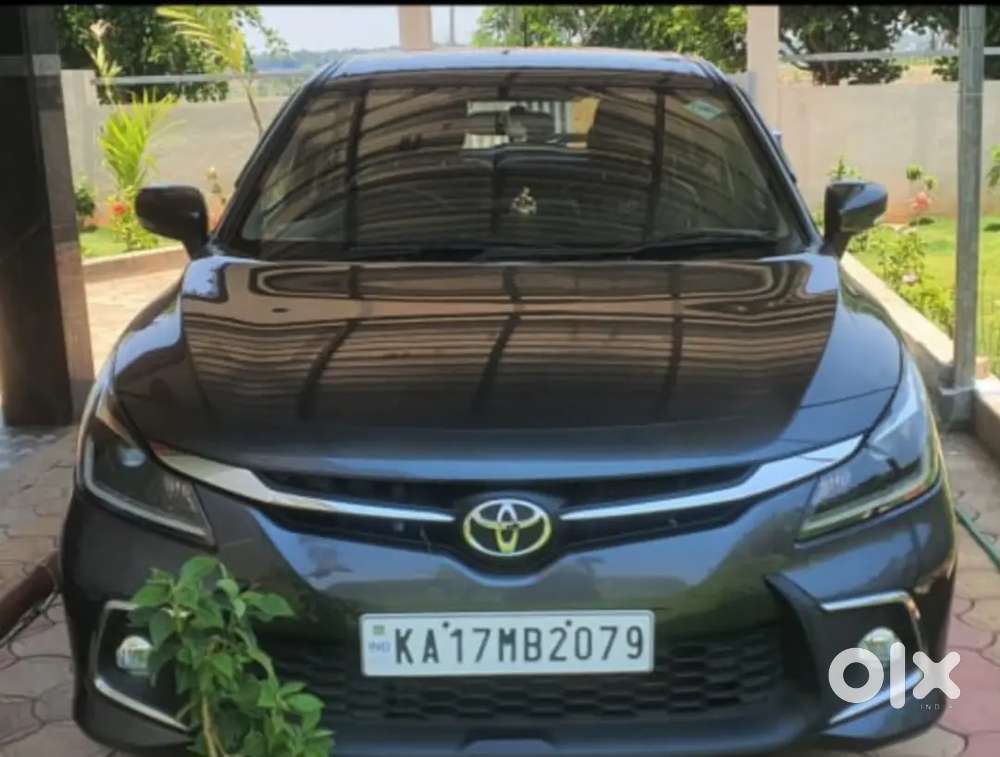 Very Good Shoroom Ricard