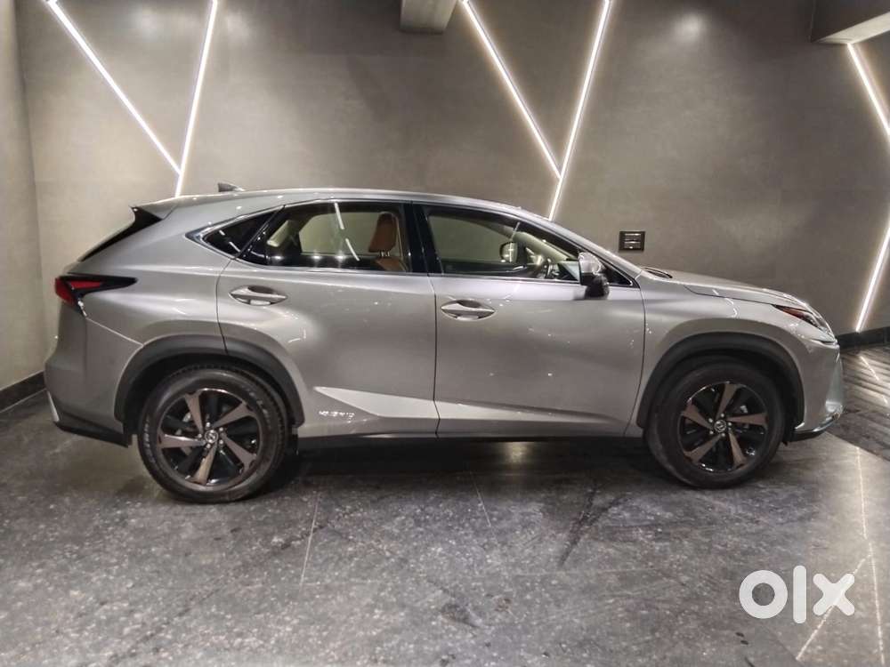 Lexus Nx Lexus-nx-300h-luxury, 2020, Petrol