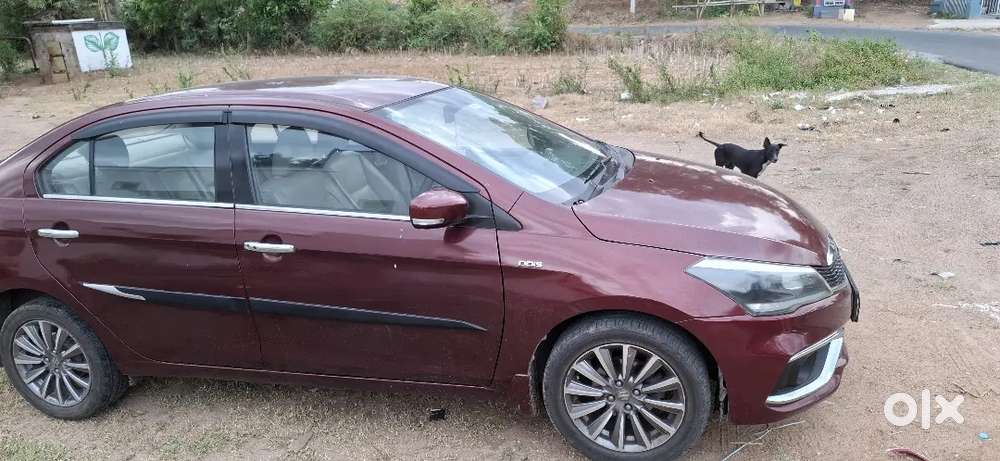 Maruti Suzuki Ciaz 2019 Diesel Manual