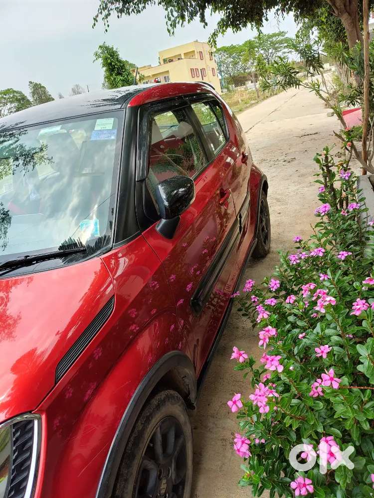 Maruti Suzuki Ignis 2018 Petrol 43000 Km Driven