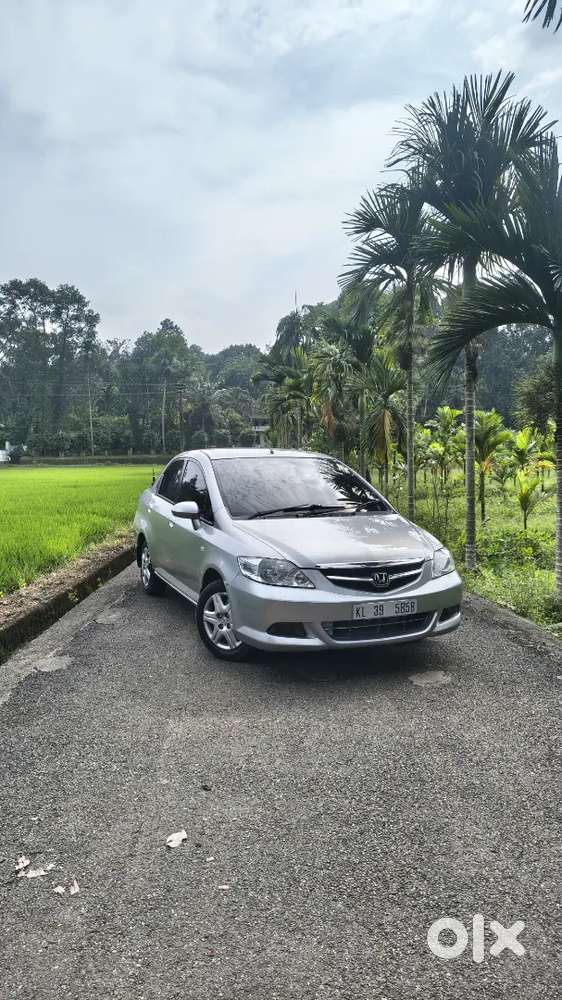 Dolphin Facelift Model