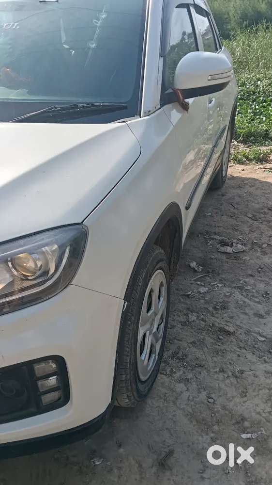 Brizza 2022 Cng
