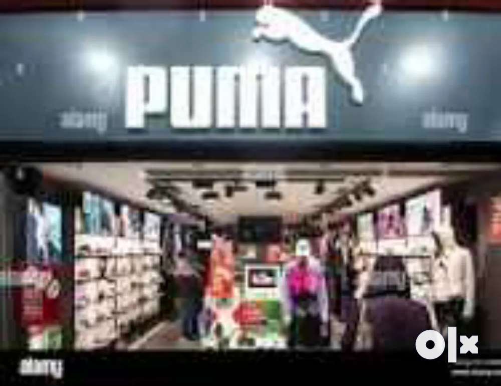 Puma showroom gwalior hotsell