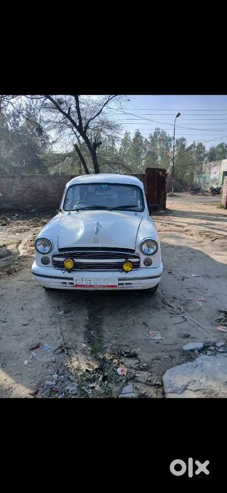 Ambassador Ambassador 2011