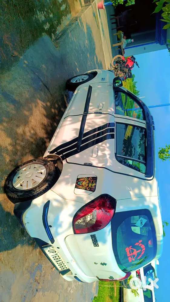 Maruti Suzuki Alto800cng