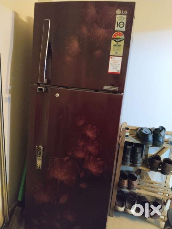 LG 285L Frost Free Double Door Refrigerator