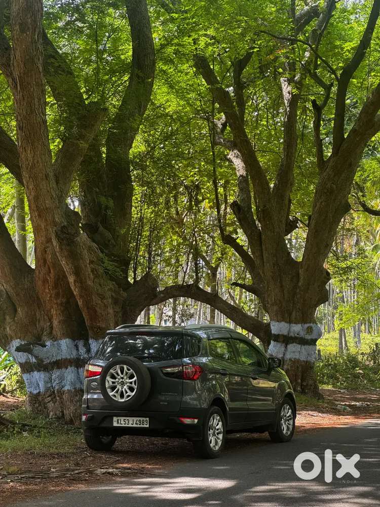 Ford Ecosport Diesel Manual 2015