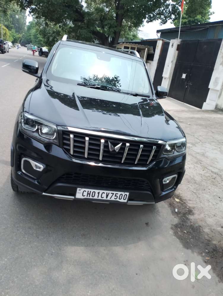 Mahindra Scorpio N Z8 L Petrol Mt 7 Str, 2024, Petrol