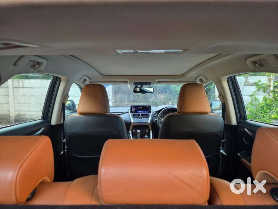 Lexus Nx Lexus-nx-300h-luxury, 2019, Petrol