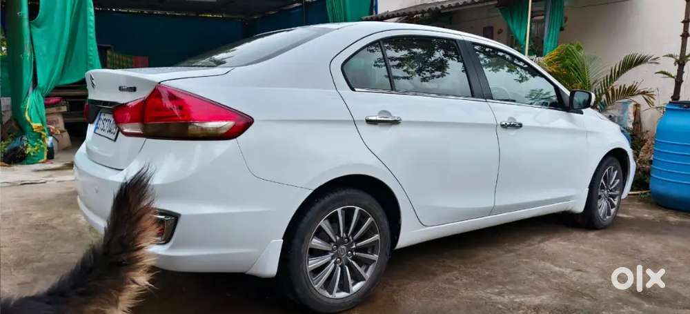 Maruti Suzuki Ciaz 2018 Petrol 21000 Km Driven Top Model Hybrid
