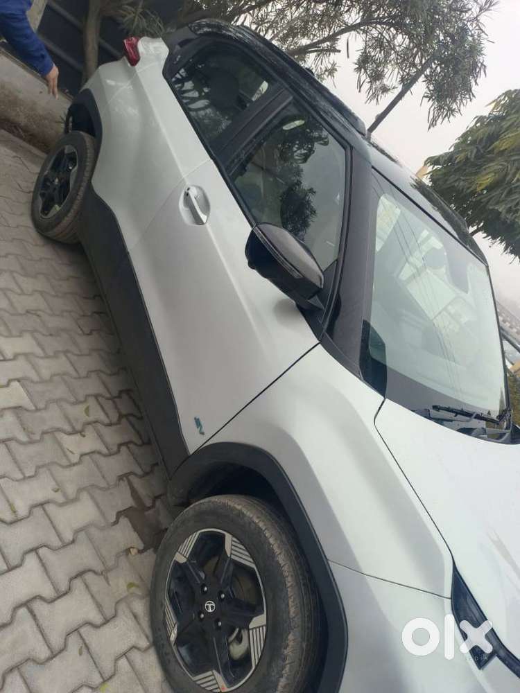 Tata Punch Ev Empowered Plus S, 2024, Electric