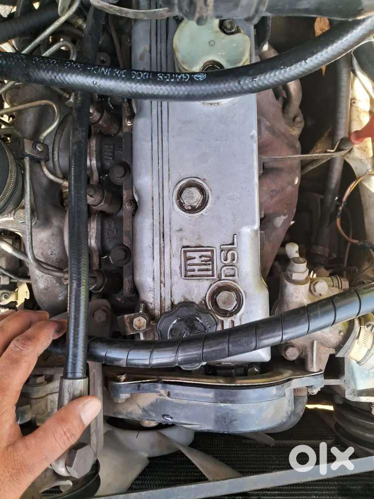 Ambassador 2013 Modal  Ac