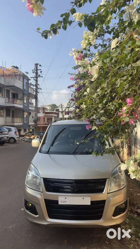 Maruti Suzuki Wagon R 1.0 2013