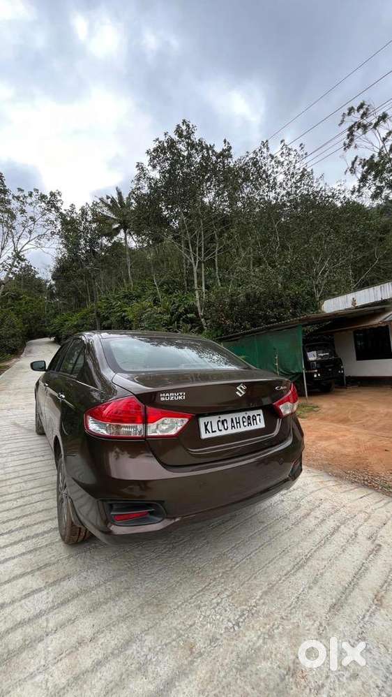 Maruti Suzuki Car 2014