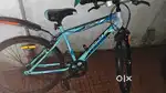 icycle scott