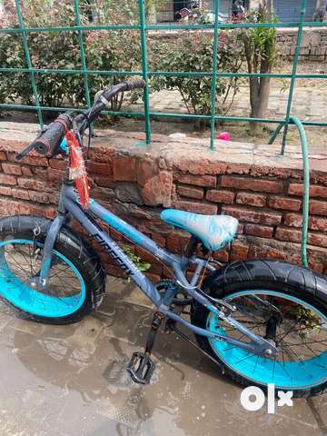 Bmx sales fat bike