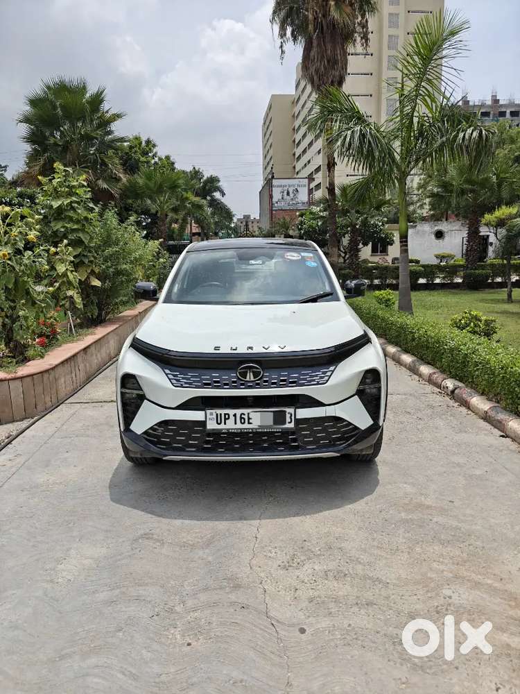 Tata Curvv Diesel Manual 2024