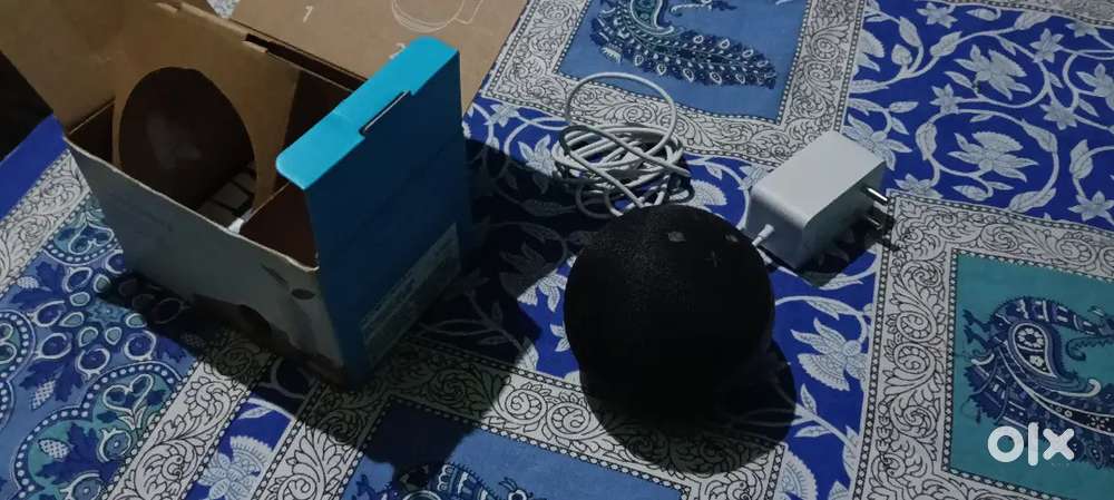Alexa echo dot