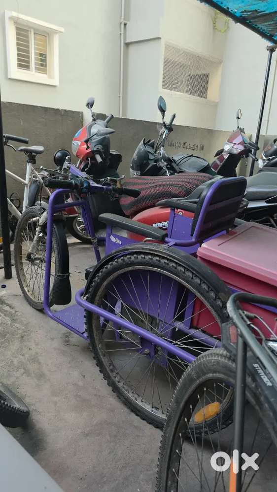 Electric cycle
