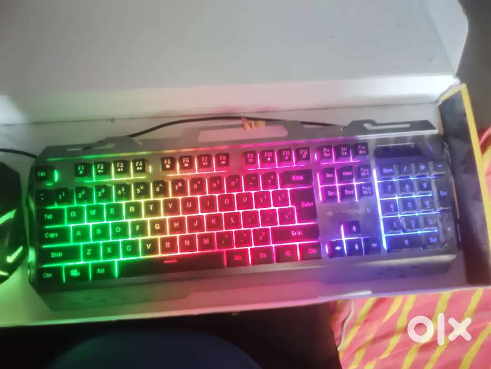 Keyboard & Mouse