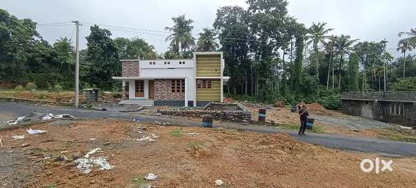 ANGAMALY PULIYANAM JUNCTION NEAR BY 5,6,8, 10 CENT PLOTS AVAILABLE