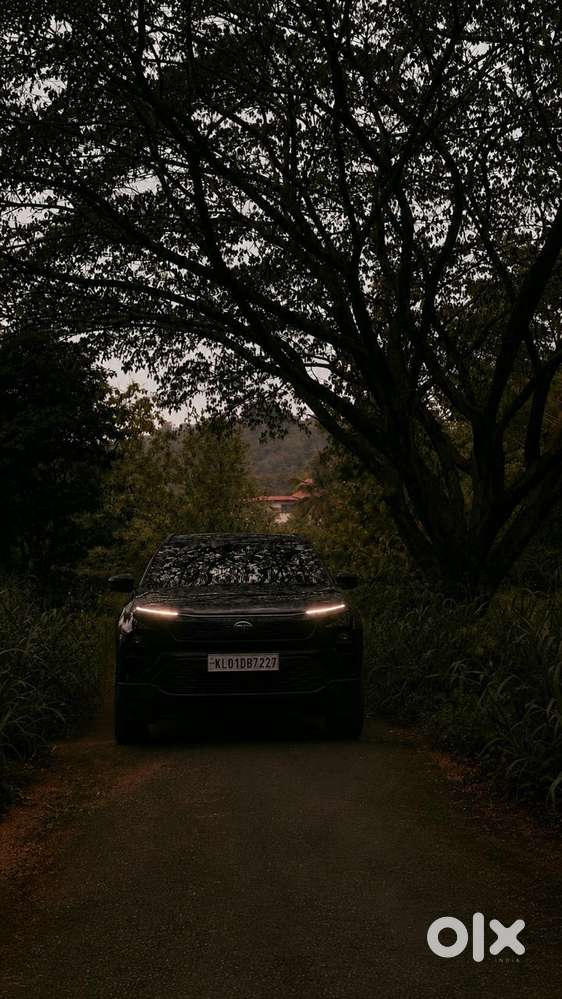 Tata Harrier Dark Edition Pure Plus At 2024