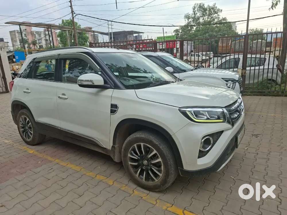 Toyota Urban Cruiser 2022