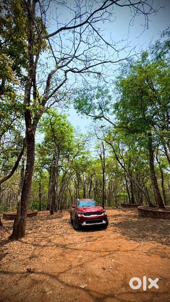 Kia Sonet 2024 Petrol 21000 Km Driven