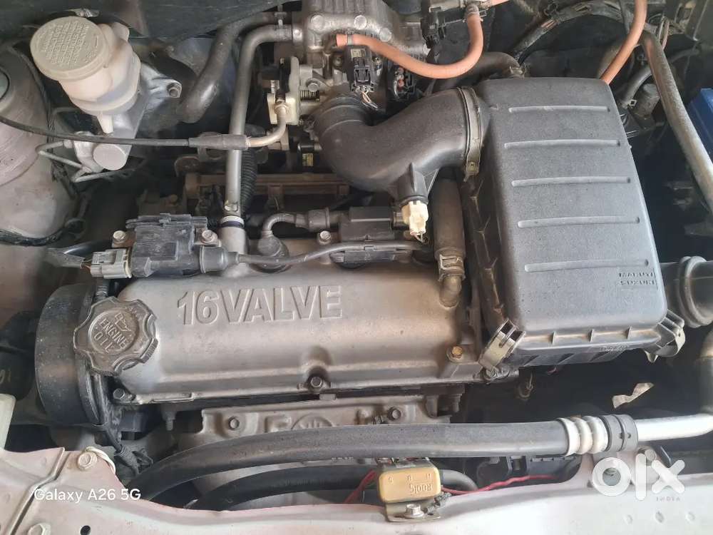 Zen Estilo Registration 2028 Tak