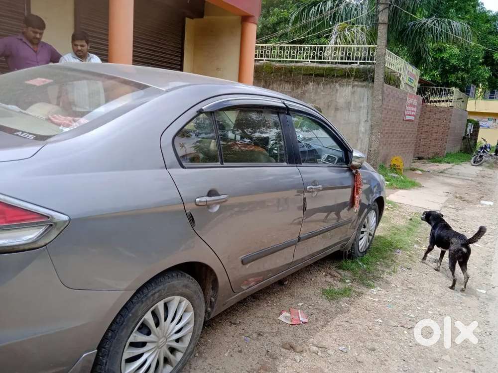 Maruti Suzuki Ciaz 2016 Plus