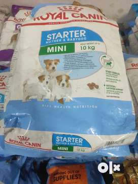 Dog Pet Food Accessories for sale in Delhi OLX