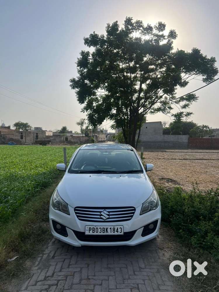Maruti Suzuki Ciaz ( Hybrid )