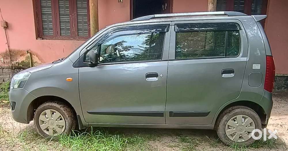 Wagner Cng With Petrol