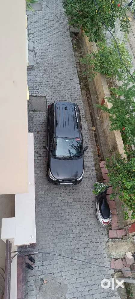 Original Pant Ful Over Maintain