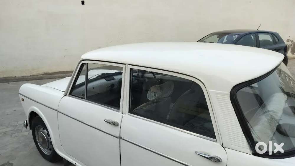 Fiet Primer Padmini White Colour (old Is Gold)