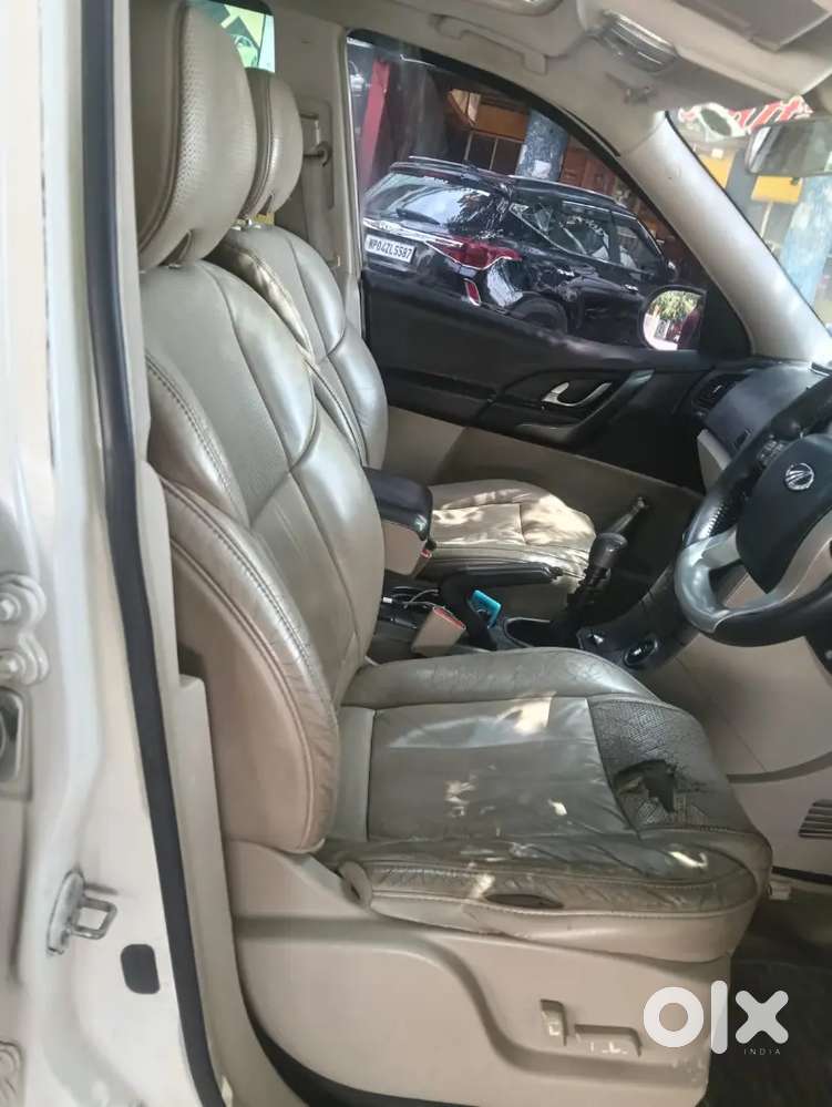 Fresh Condition