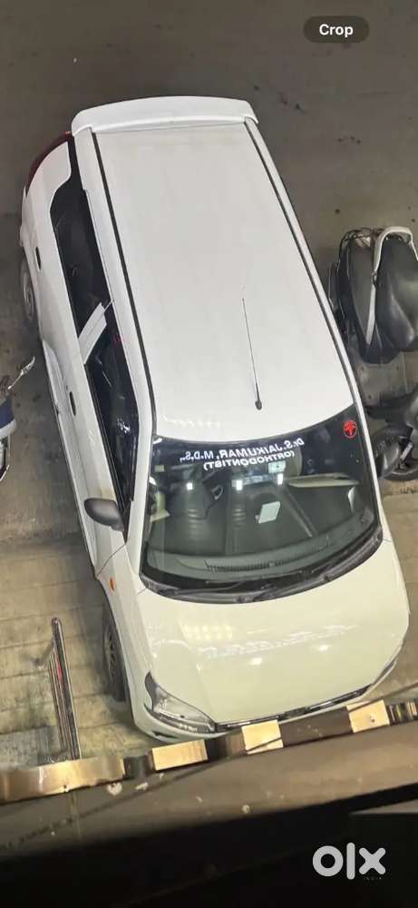 Doctor Maintaining Vehicle Full Company Services Record