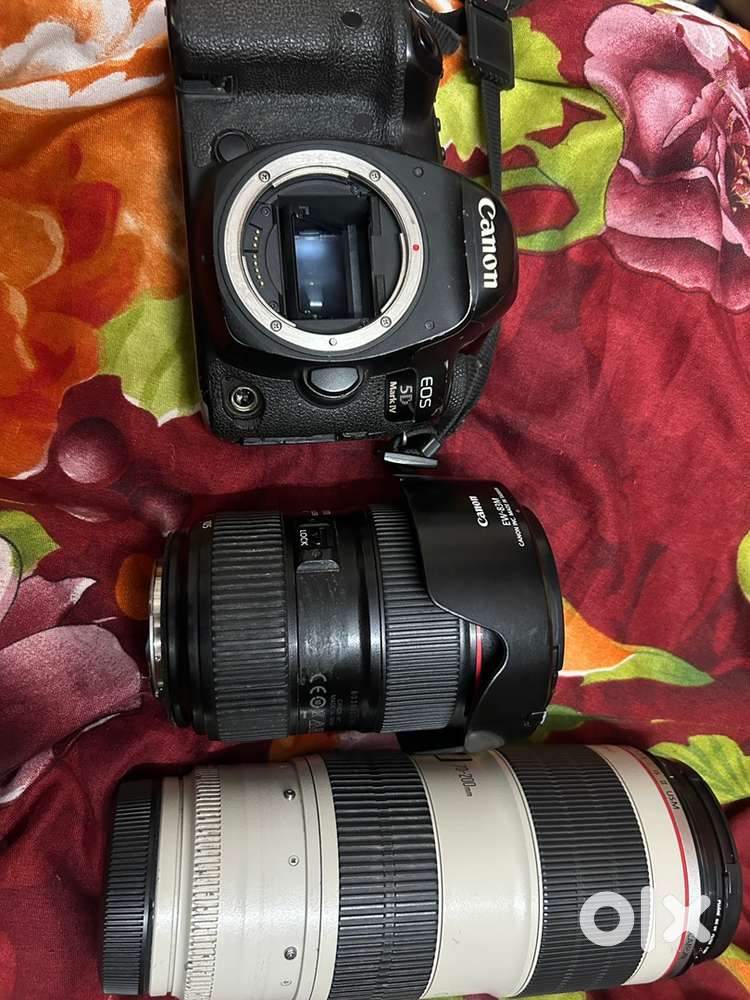 Canon mark 4 5d