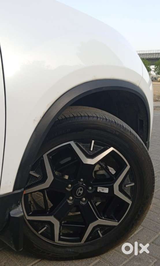 Tata Safari Accomplished X Plus 6 Str At, 2024, Diesel