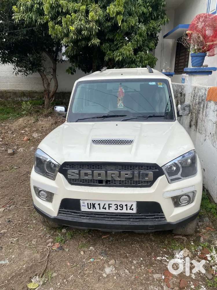 Want To Buy A New Car