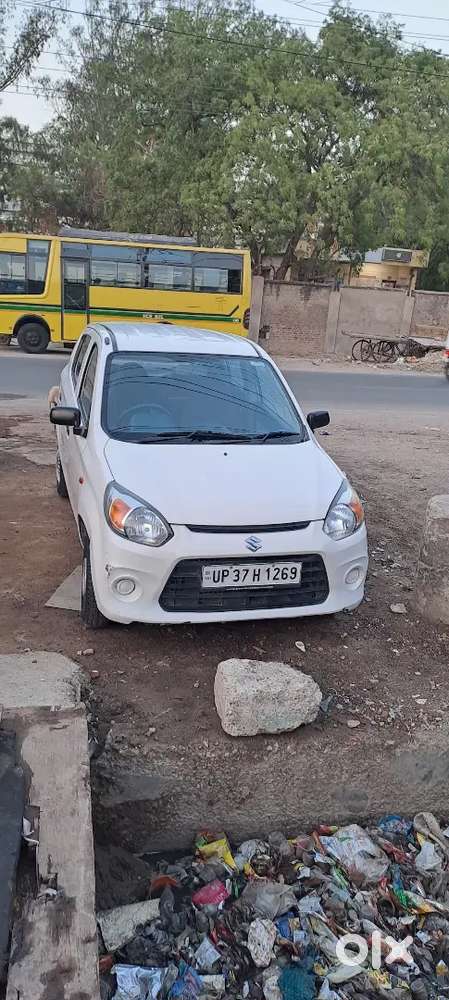 Alto 800 Best Condition Jasi Kasi Bhai Ko Chaye Contact Kre