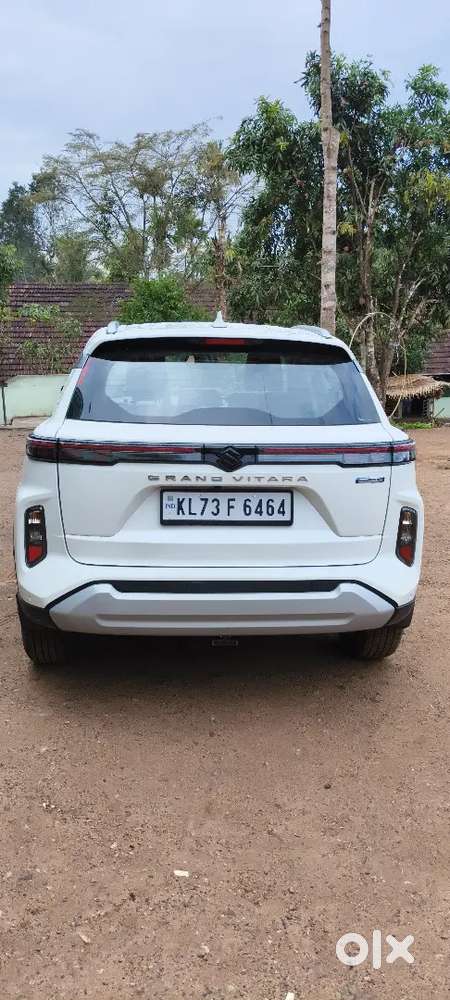 2025 August Model Grand Vitara  Delta Manual 10200 Km Driven.
