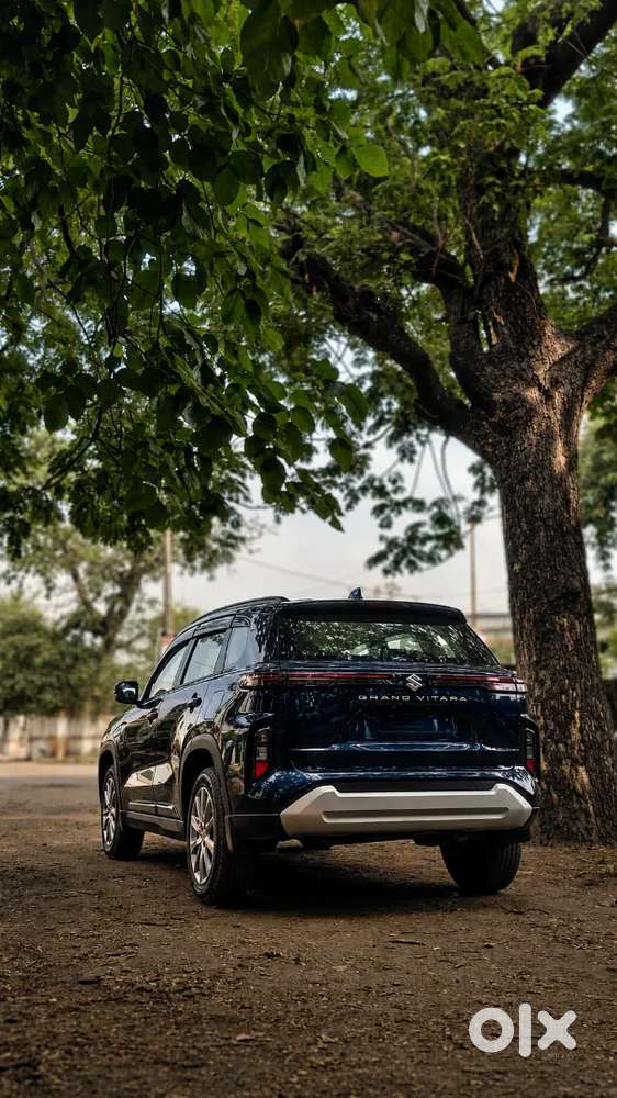 Grand Vitara Delta Cng