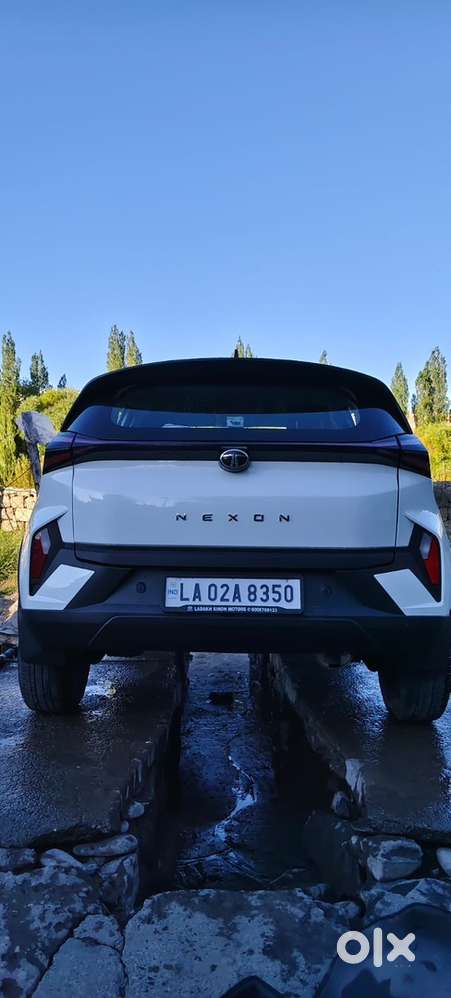 Tata Nexon Petrol 2024