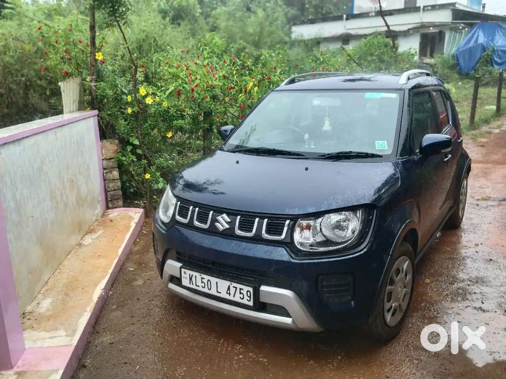 Maruti Suzuki Ignis Delta 2024