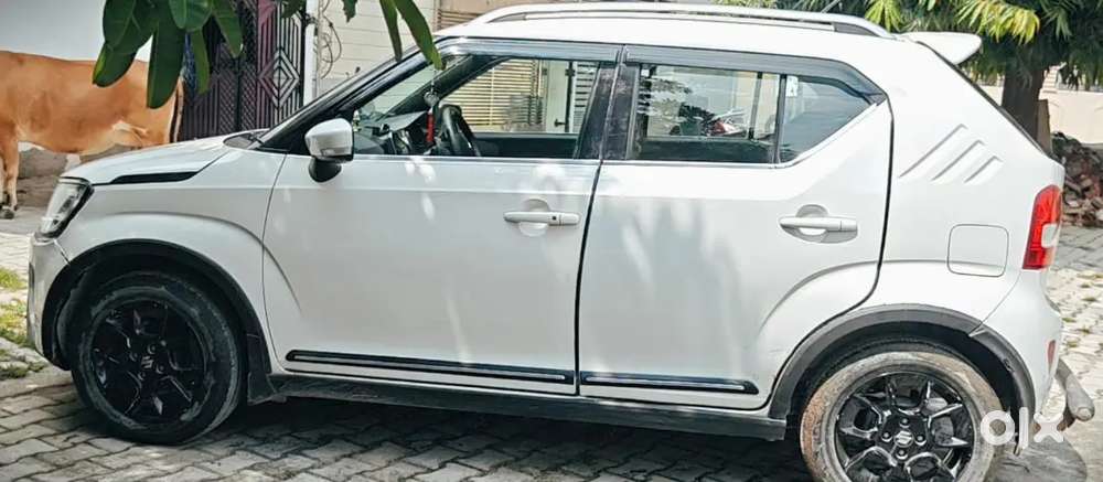 Maruti Suzuki Ignis 2024
