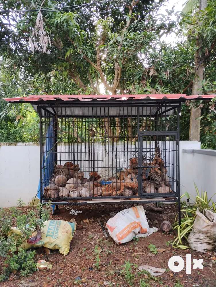 Dog cage in store olx