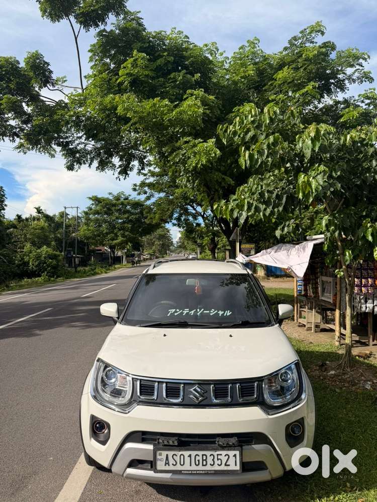Maruti Suzuki Ignis Petrol 2024