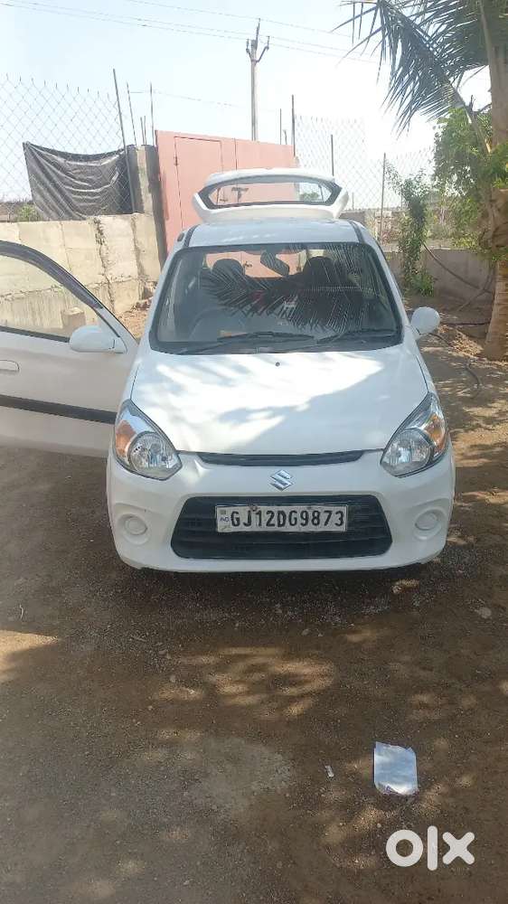 Alto 800 2018 Owner 1
