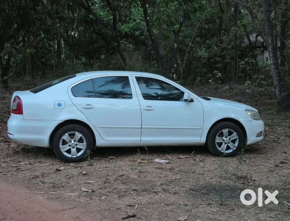 Skoda Laura 2011 Diesel Well Maintained